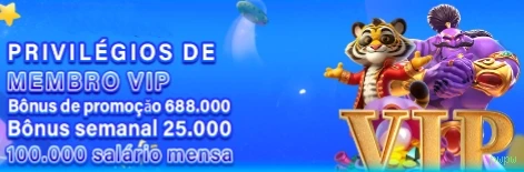 Verificação Pagamentos